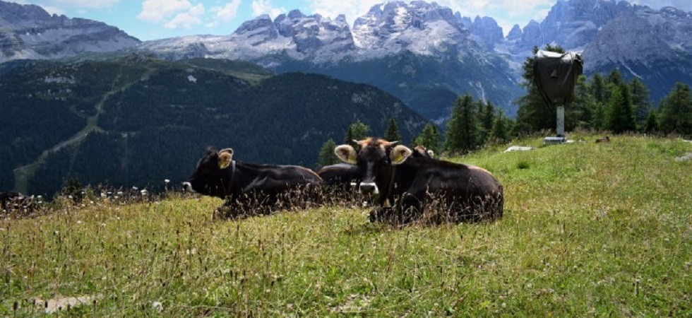 Nuovo esecutivo per Slow food del Trentino Alto Adige che lancia un Documento politico programmatico per affrontare le sfide